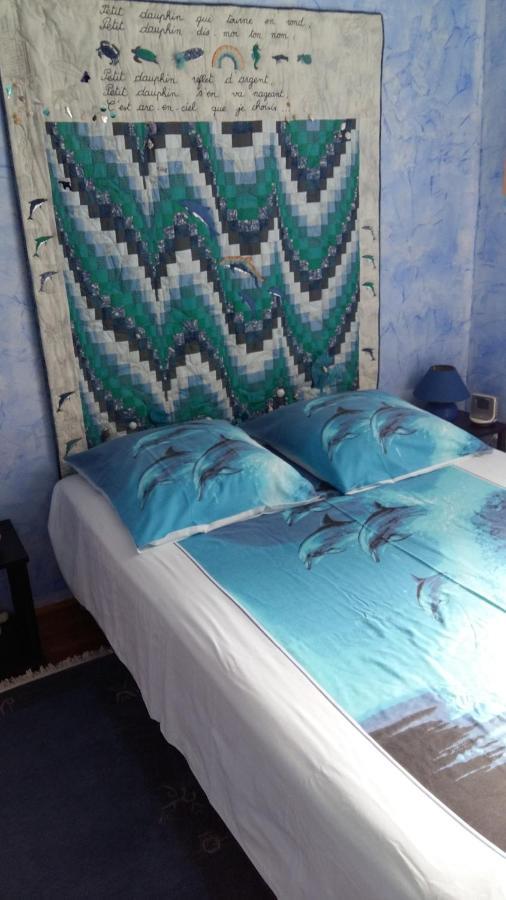 Les Hibiscus Bed & Breakfast Saint-Jean-le-Centenier Екстериор снимка