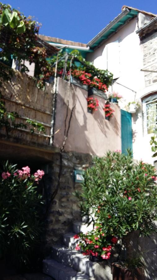 Les Hibiscus Bed & Breakfast Saint-Jean-le-Centenier Екстериор снимка